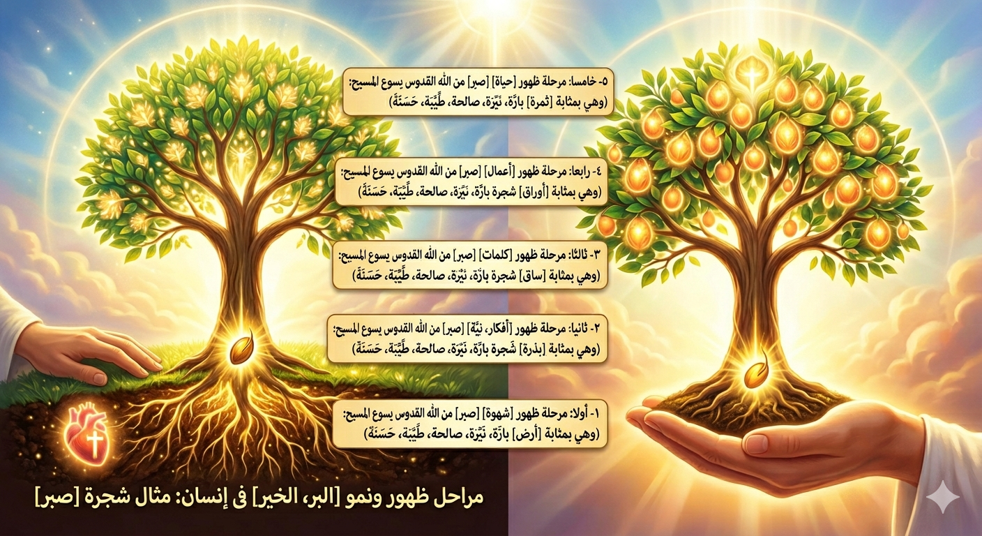 صورة منشور