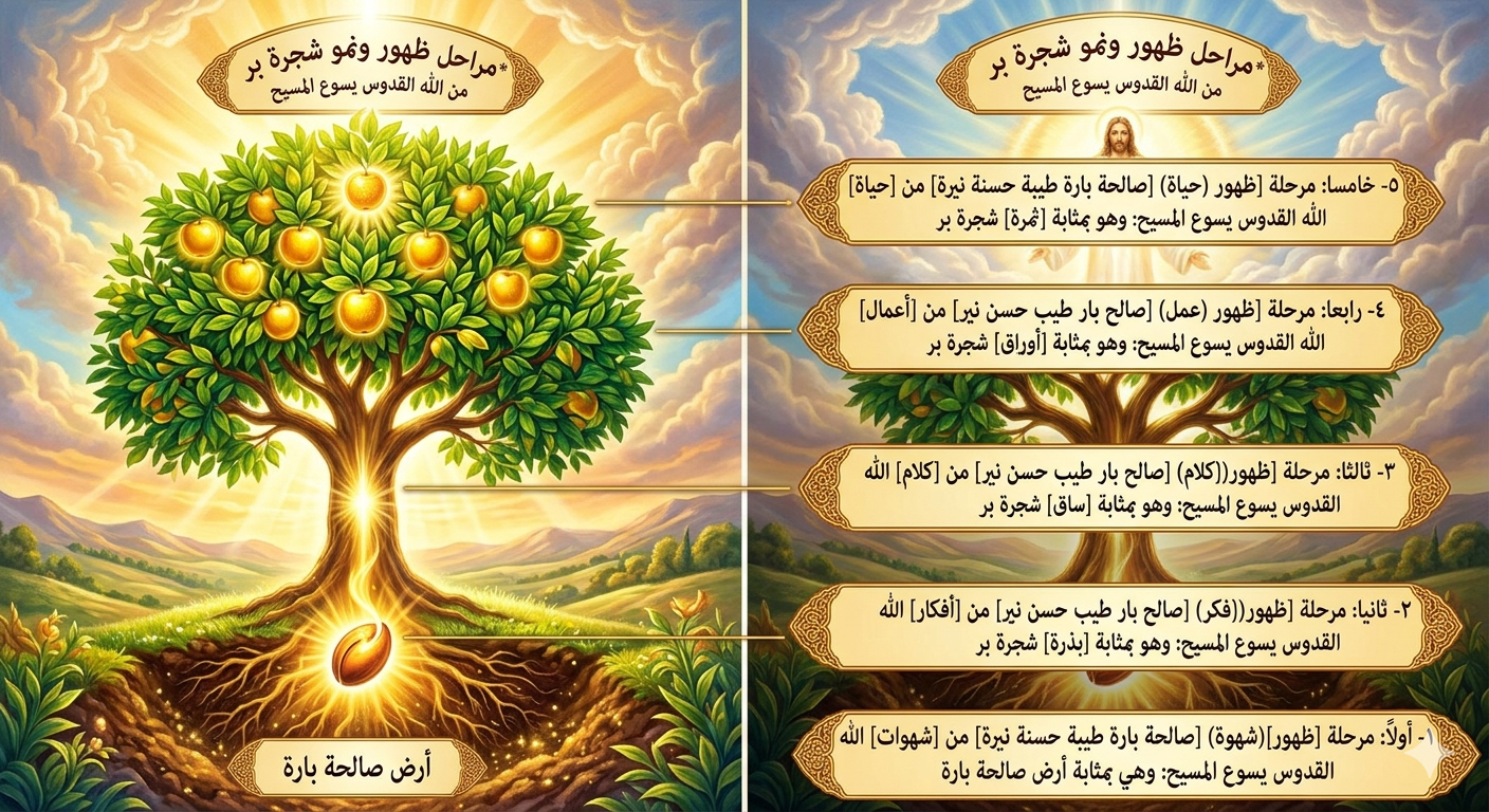 صورة منشور